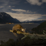 BioFoto Hordaland fotokonkurranse 2025 runde 2