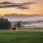Vinner klasse Landskap, Ragnhild Lossius