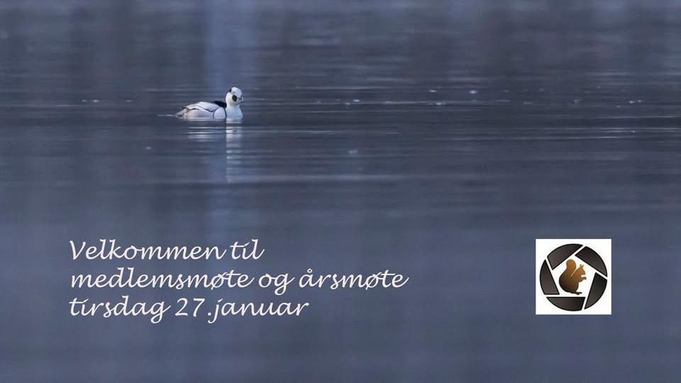 Årsmøte og medlemsmøte BioFoto Midt-Norge