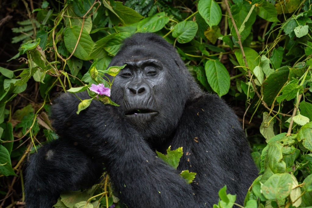 Nytt medlemsmøte i BioFoto Midt-Norge