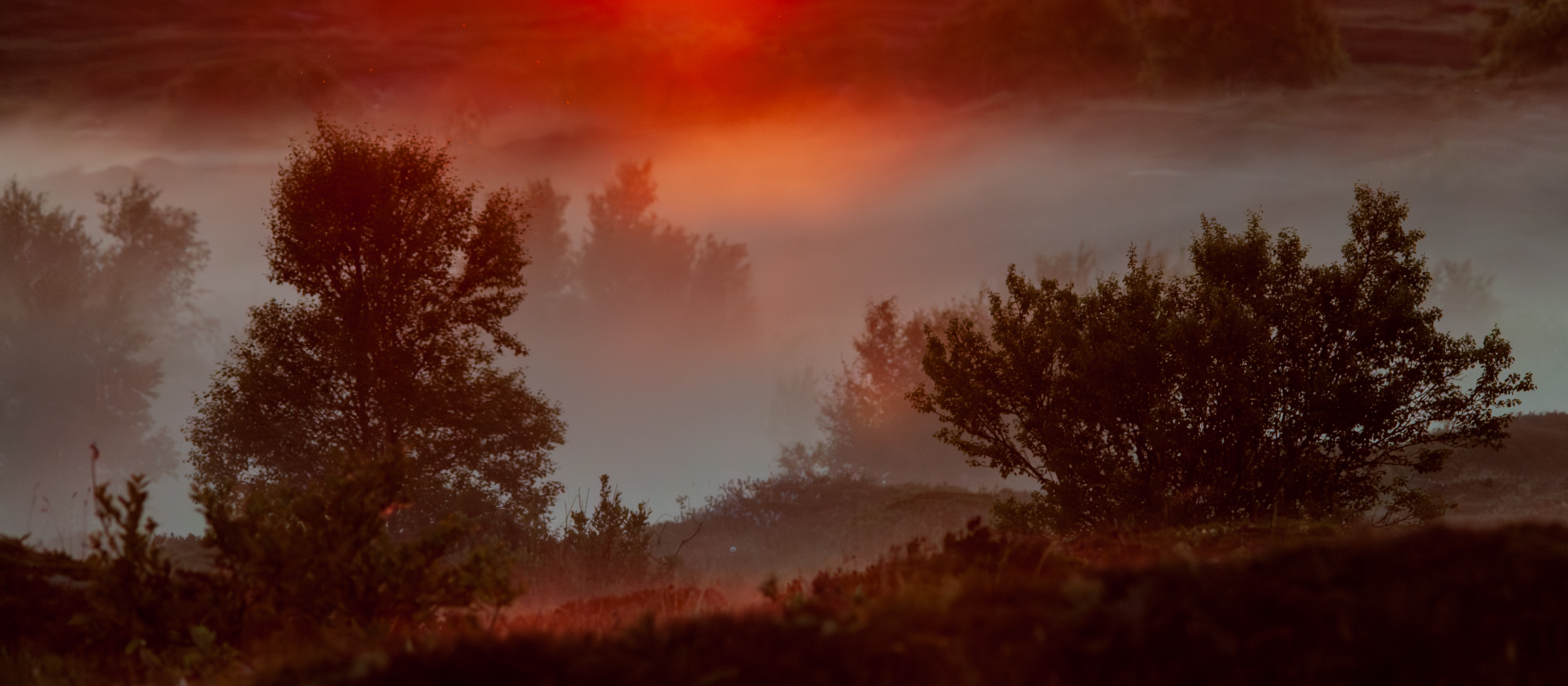 Vega (Geir Antonsen) (14)