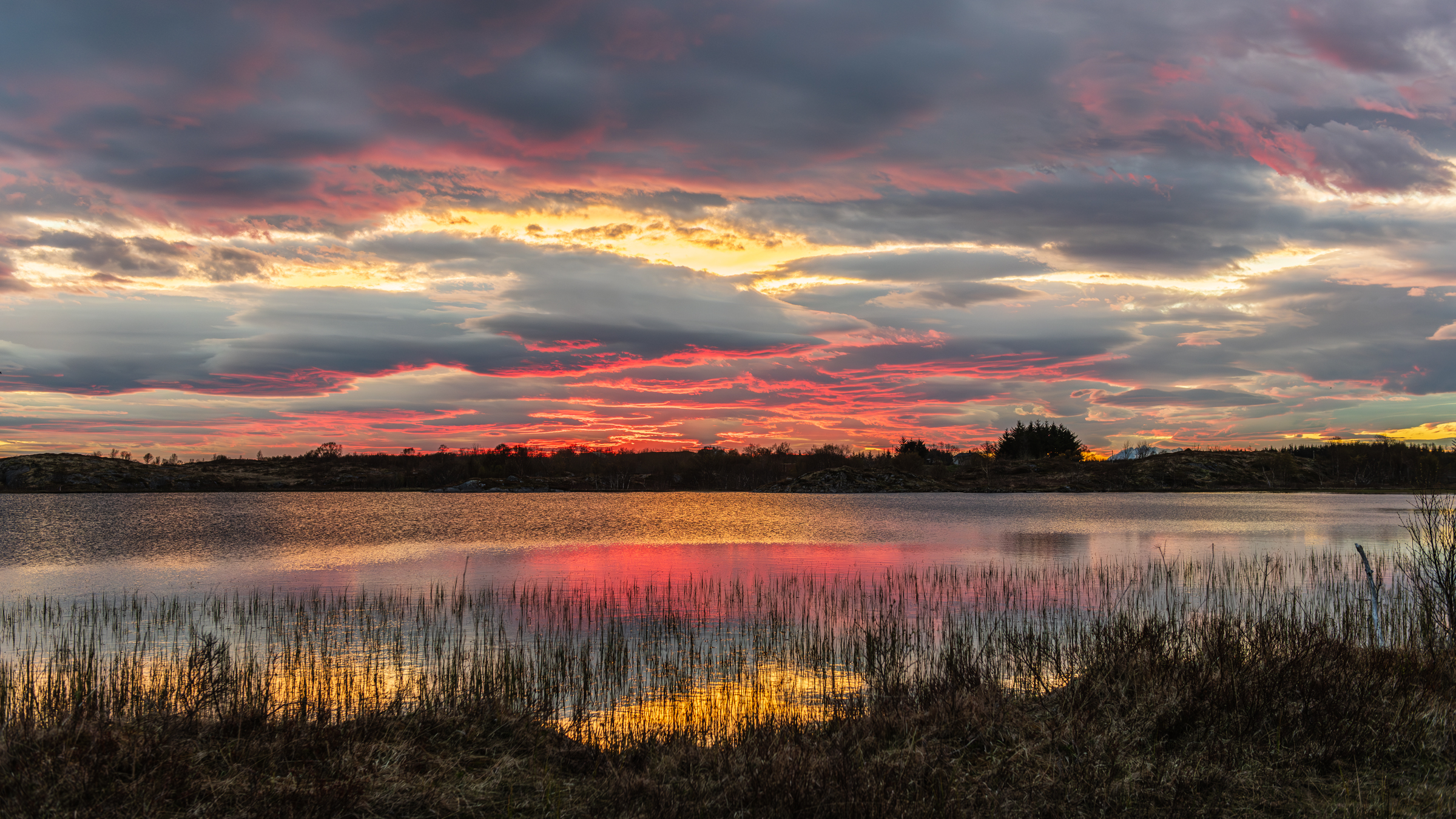 Vega (Geir Antonsen) (7)