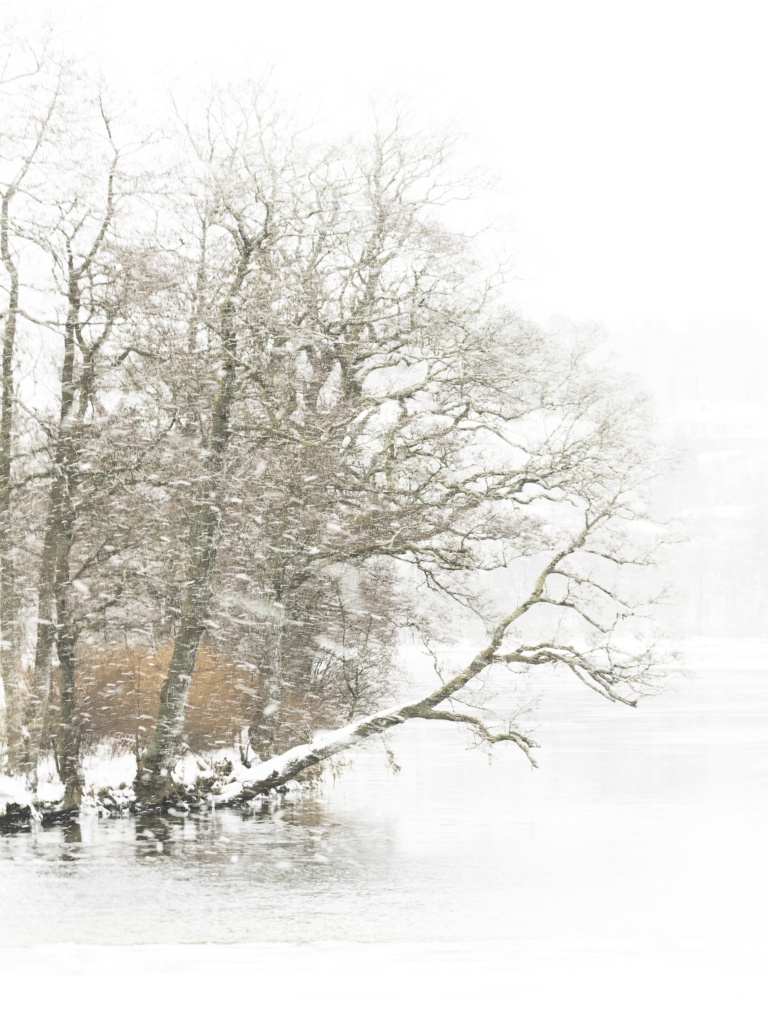 Tok månedens bilde for april