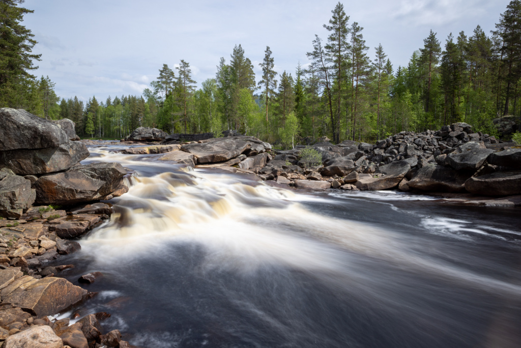 Biofoto Innlandet på fototur til Finnskogens dype skoger!