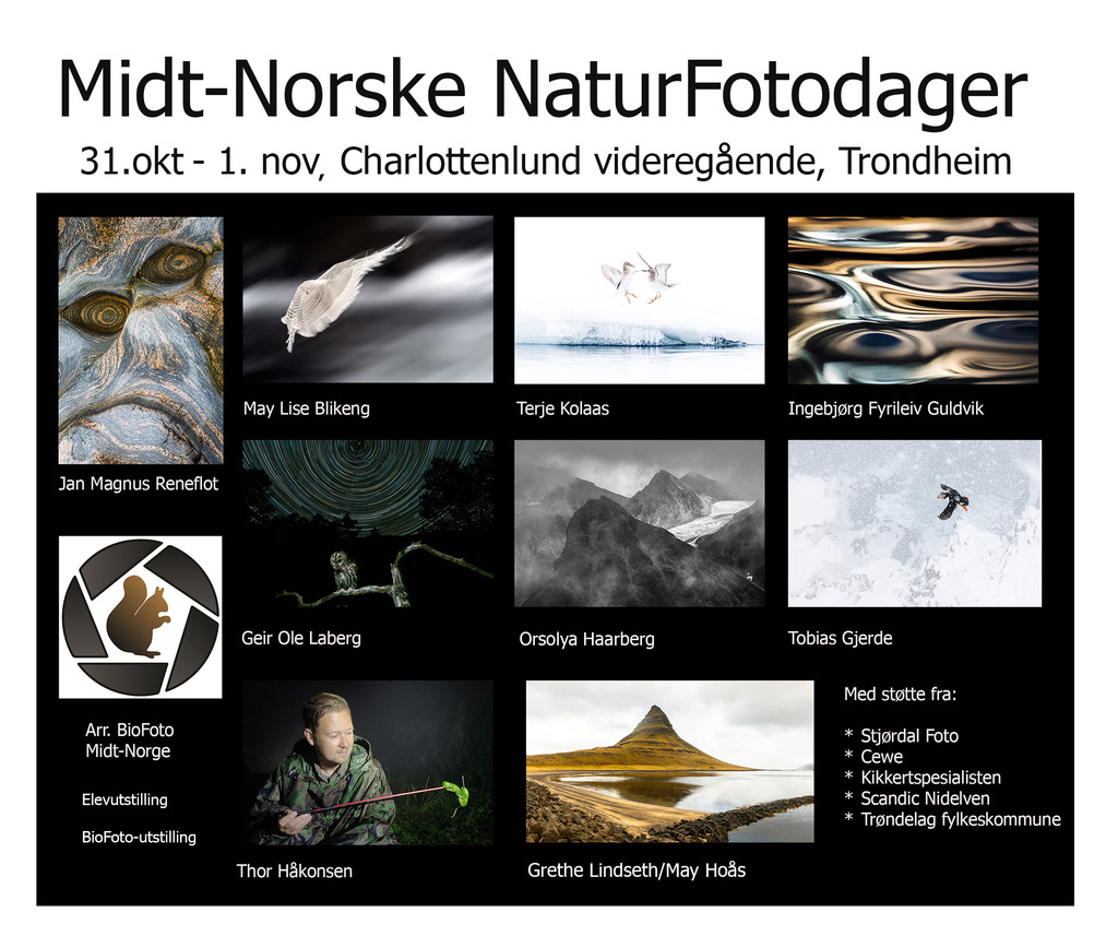 Foredragsholderne på Midt-Norske NaturFotodager er klare!
